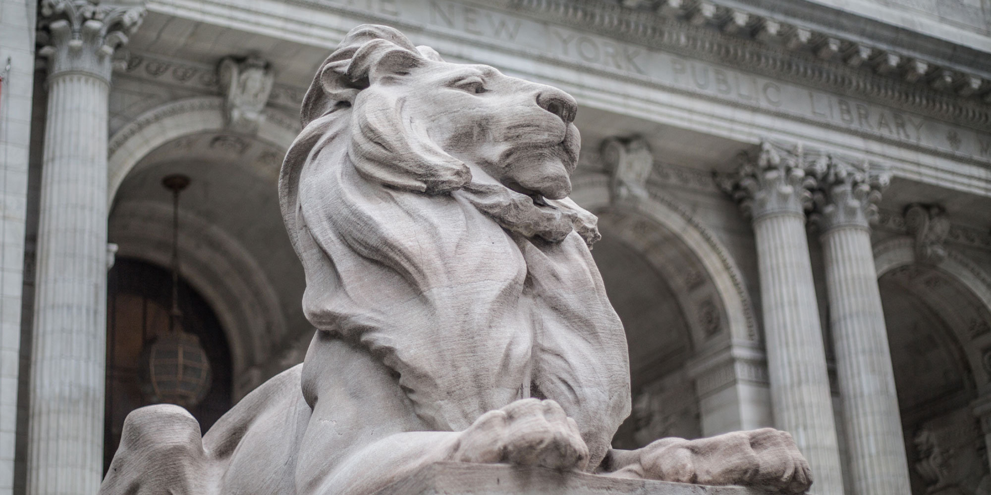 Access to NY Public Library